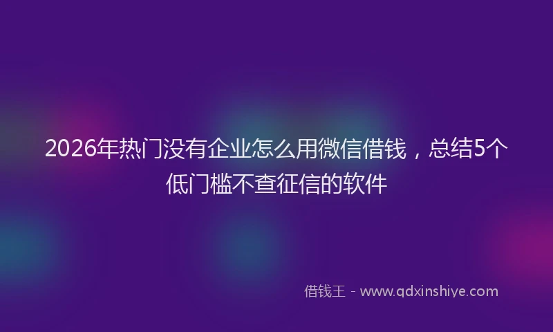 2026年热门没有企业怎么用微信借钱，总结5个低门槛不查征信的软件