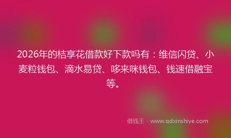 2026年的桔享花借款好下款吗有：维信闪贷、小麦粒钱包、滴水易贷、哆来咪钱包、钱速借融宝等。
