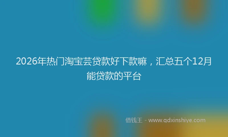 2026年热门淘宝芸贷款好下款嘛，汇总五个12月能贷款的平台
