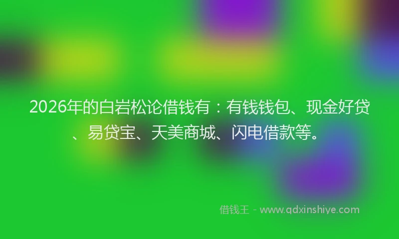2026年的白岩松论借钱有：有钱钱包、现金好贷、易贷宝、天美商城、闪电借款等。