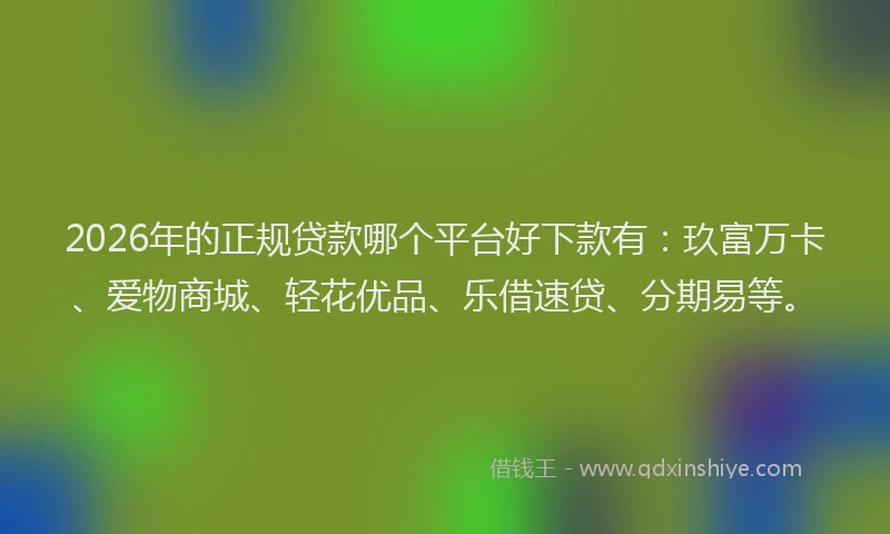 2026年的正规贷款哪个平台好下款有:玖富万卡、爱物商城、轻花优品、乐借速贷、分期易等。