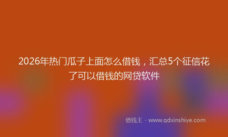 2026年热门瓜子上面怎么借钱，汇总5个征信花了可以借钱的网贷软件