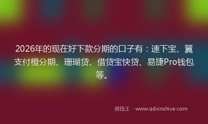 2026年的现在好下款分期的口子有:速下宝、翼支付橙分期、珊瑚贷、借贷宝快贷、易捷Pro钱包等。