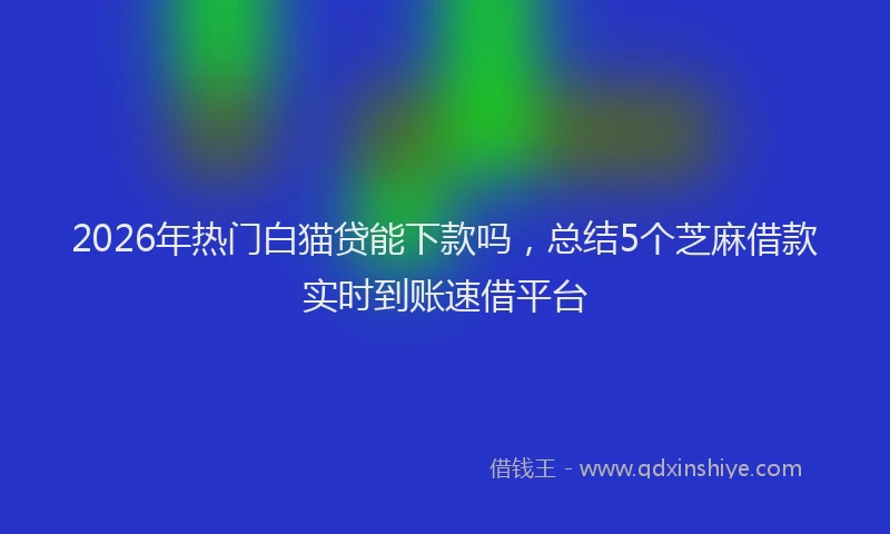 2026年热门白猫贷能下款吗，总结5个芝麻借款实时到账速借平台