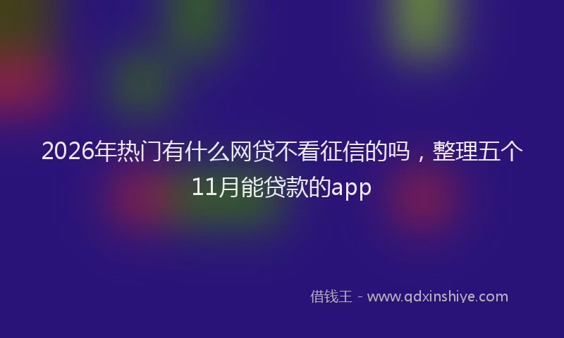 2026年热门有什么网贷不看征信的吗，整理五个11月能贷款的app