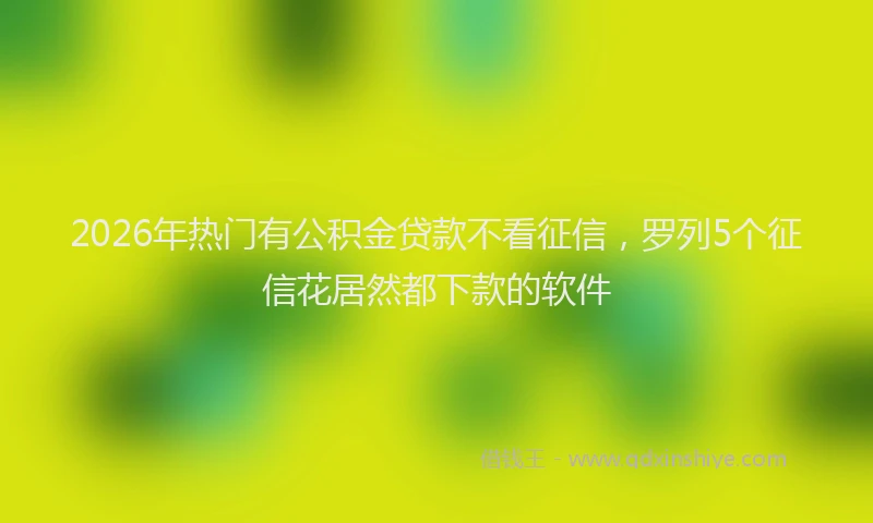 2026年热门有公积金贷款不看征信，罗列5个征信花居然都下款的软件