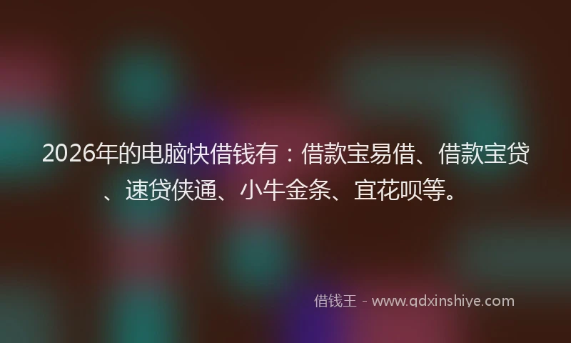 2026年的电脑快借钱有：借款宝易借、借款宝贷、速贷侠通、小牛金条、宜花呗等。