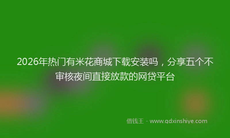 2026年热门有米花商城下载安装吗，分享五个不审核夜间直接放款的网贷平台