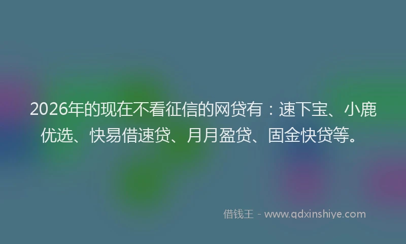 2026年的现在不看征信的网贷有：速下宝、小鹿优选、快易借速贷、月月盈贷、固金快贷等。