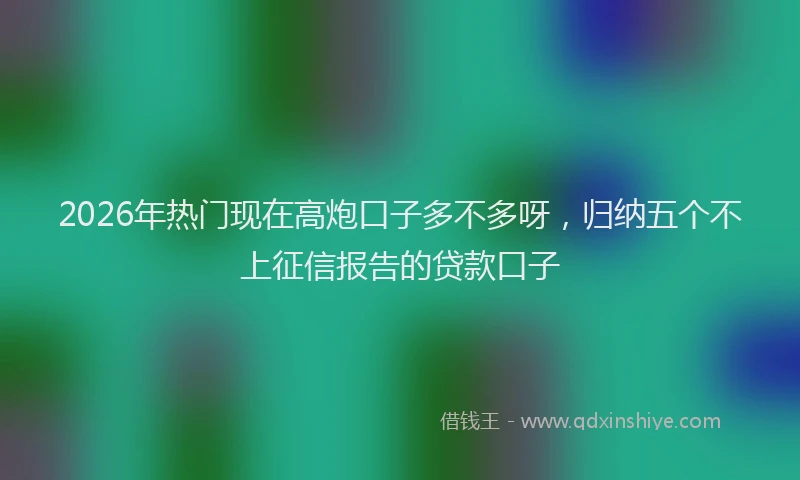 2026年热门现在高炮口子多不多呀，归纳五个不上征信报告的贷款口子