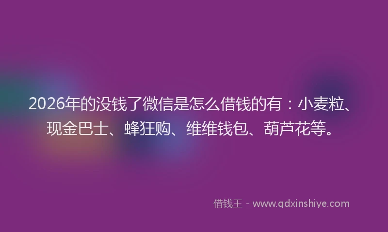 2026年的没钱了微信是怎么借钱的有：小麦粒、现金巴士、蜂狂购、维维钱包、葫芦花等。