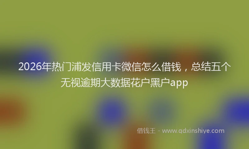 2026年热门浦发信用卡微信怎么借钱，总结五个无视逾期大数据花户黑户app