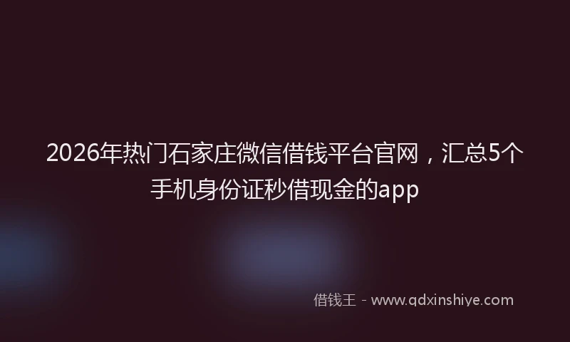 2026年热门石家庄微信借钱平台官网，汇总5个手机身份证秒借现金的app