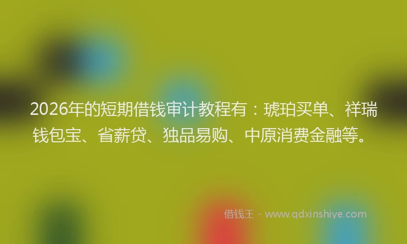 2026年的短期借钱审计教程有：琥珀买单、祥瑞钱包宝、省薪贷、独品易购、中原消费金融等。