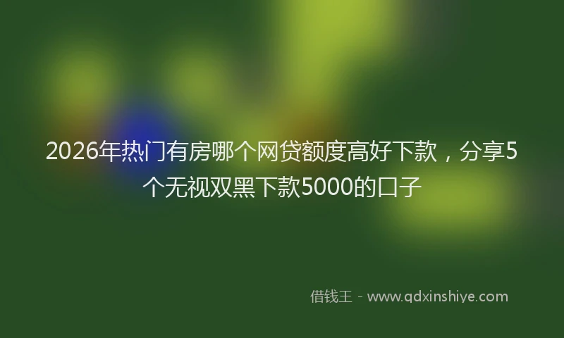 2026年热门有房哪个网贷额度高好下款,分享5个无视双黑下款5000的口子