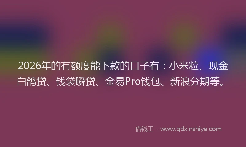 2026年的有额度能下款的口子有：小米粒、现金白鸽贷、钱袋瞬贷、金易Pro钱包、新浪分期等。