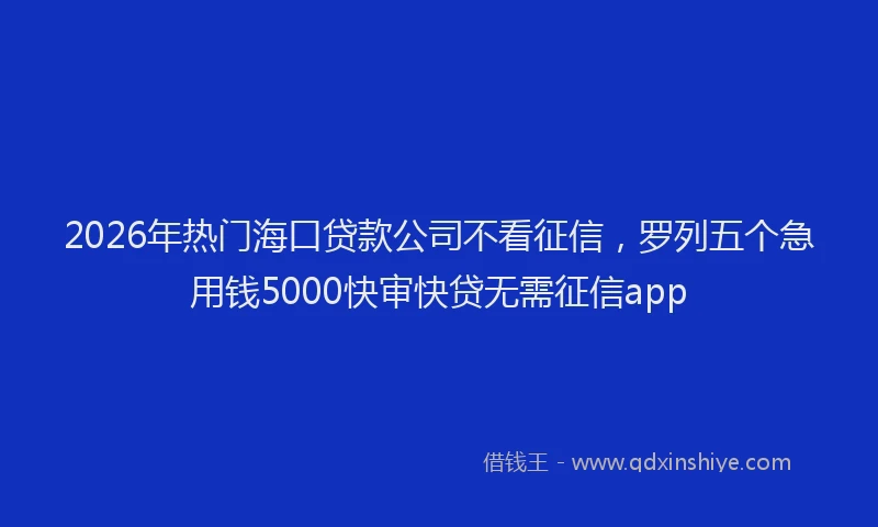 2026年热门海口贷款公司不看征信，罗列五个急用钱5000快审快贷无需征信app