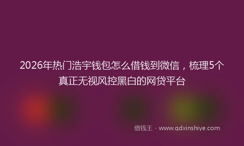 2026年热门浩宇钱包怎么借钱到微信，梳理5个真正无视风控黑白的网贷平台