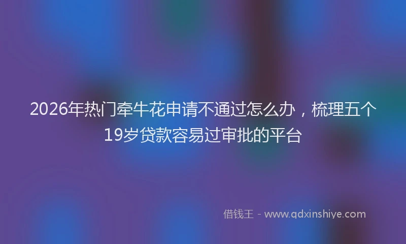 2026年热门牵牛花申请不通过怎么办,梳理五个19岁贷款容易过审批的平台