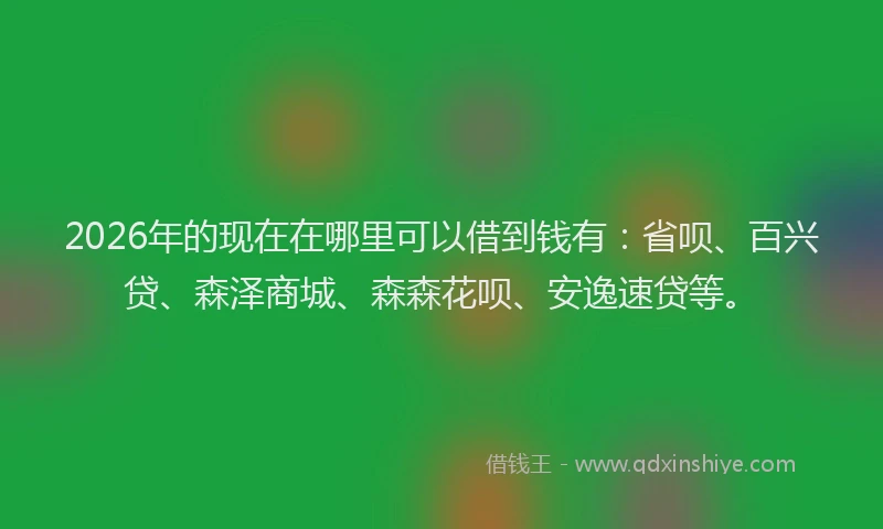 2026年的现在在哪里可以借到钱有：省呗、百兴贷、森泽商城、森森花呗、安逸速贷等。