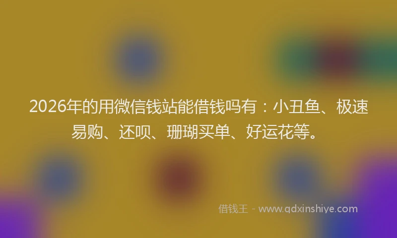 2026年的用微信钱站能借钱吗有：小丑鱼、极速易购、还呗、珊瑚买单、好运花等。