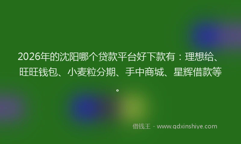 2026年的沈阳哪个贷款平台好下款有：理想给、旺旺钱包、小麦粒分期、手中商城、星辉借款等。