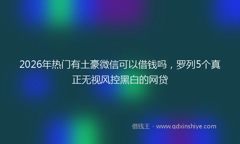 2026年热门有土豪微信可以借钱吗，罗列5个真正无视风控黑白的网贷