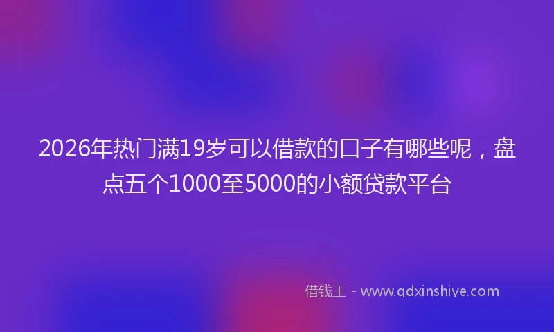 2026年热门满19岁可以借款的口子有哪些呢，盘点五个1000至5000的小额贷款平台