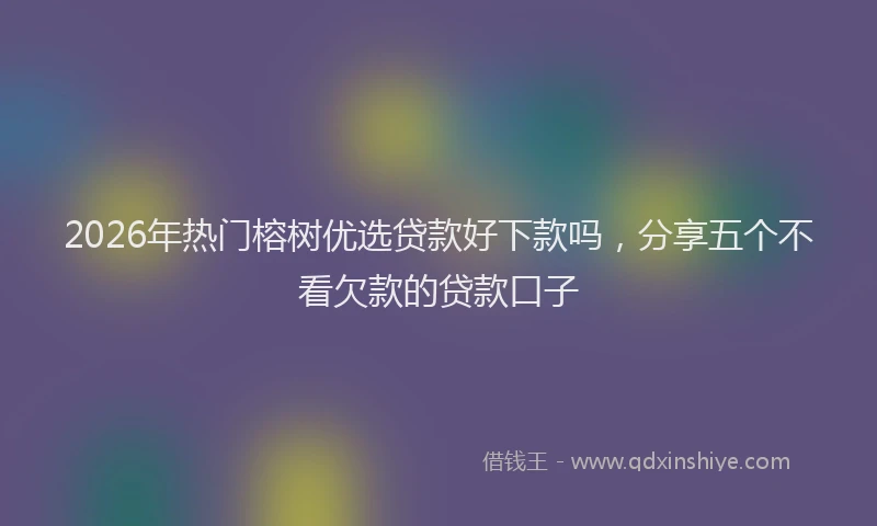 2026年热门榕树优选贷款好下款吗，分享五个不看欠款的贷款口子
