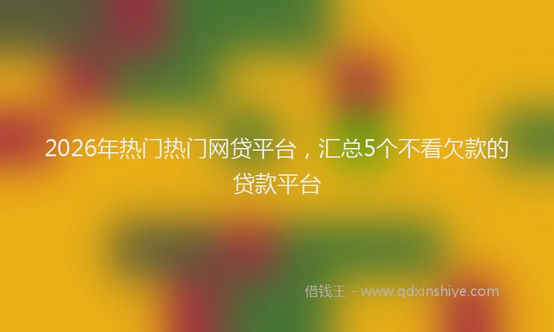 2026年热门热门网贷平台，汇总5个不看欠款的贷款平台