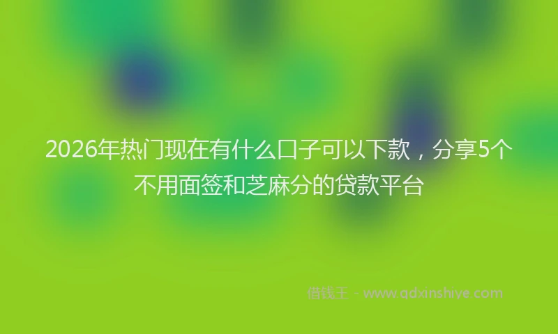 2026年热门现在有什么口子可以下款，分享5个不用面签和芝麻分的贷款平台