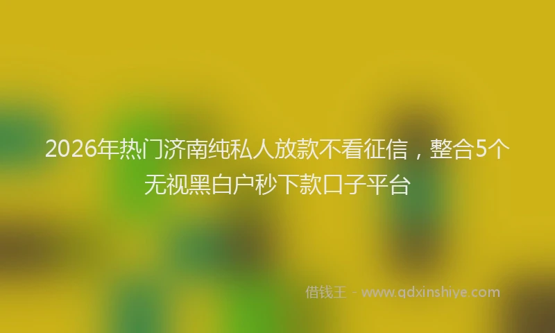 2026年热门济南纯私人放款不看征信，整合5个无视黑白户秒下款口子平台