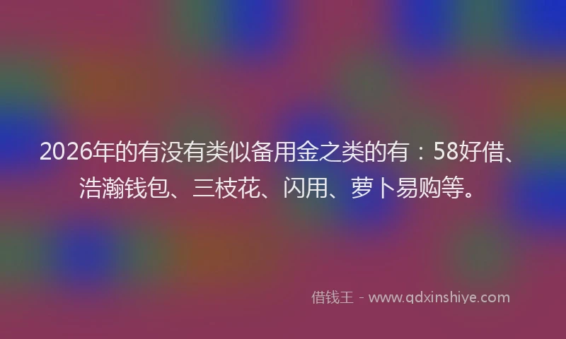 2026年的有没有类似备用金之类的有:58好借、浩瀚钱包、三枝花、闪用、萝卜易购等。