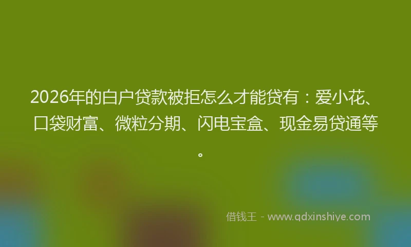 2026年的白户贷款被拒怎么才能贷有：爱小花、口袋财富、微粒分期、闪电宝盒、现金易贷通等。
