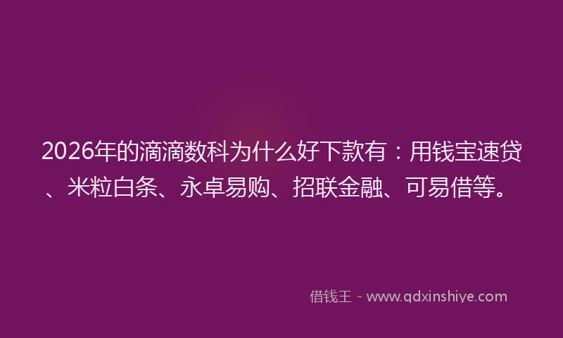 2026年的滴滴数科为什么好下款有：用钱宝速贷、米粒白条、永卓易购、招联金融、可易借等。