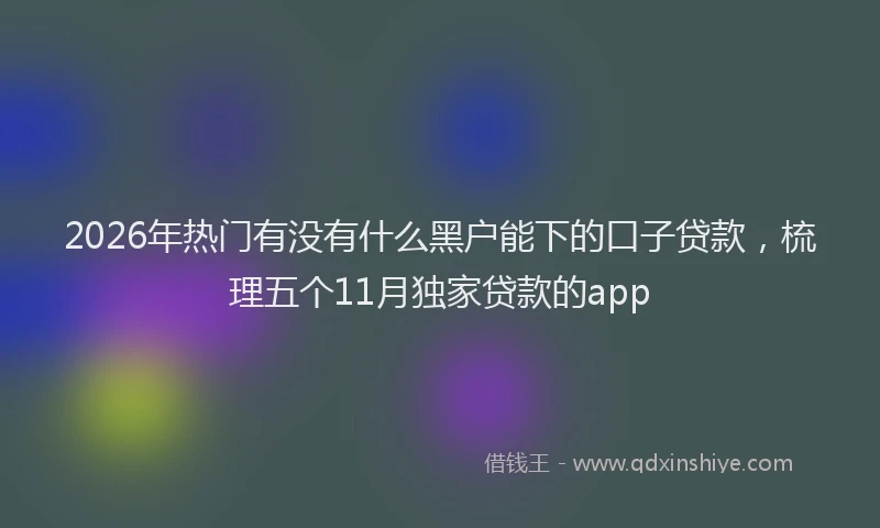 2026年热门有没有什么黑户能下的口子贷款，梳理五个11月独家贷款的app