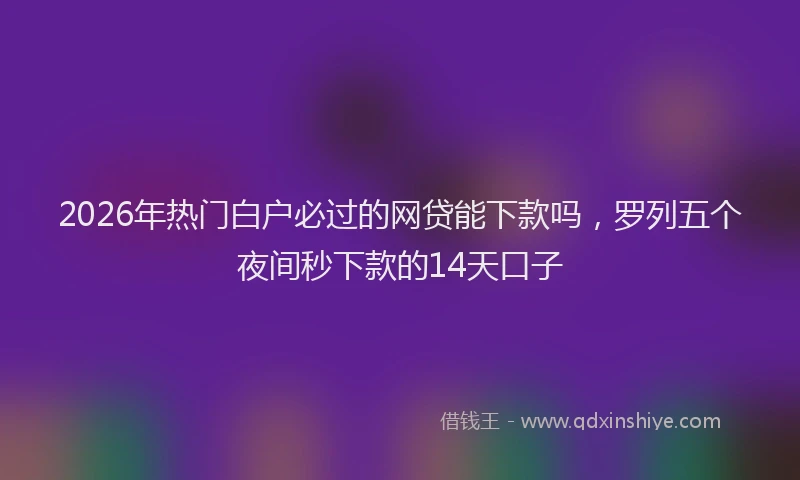 2026年热门白户必过的网贷能下款吗，罗列五个夜间秒下款的14天口子