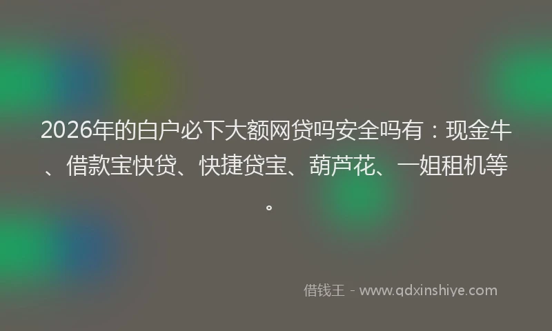 2026年的白户必下大额网贷吗安全吗有：现金牛、借款宝快贷、快捷贷宝、葫芦花、一姐租机等。