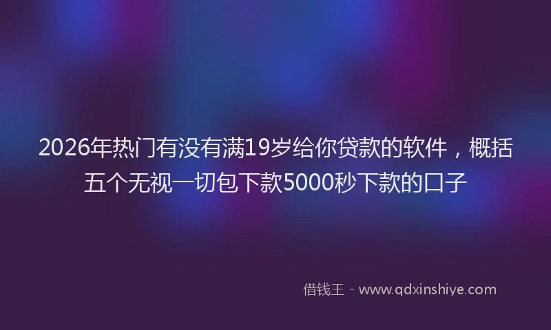 2026年热门有没有满19岁给你贷款的软件，概括五个无视一切包下款5000秒下款的口子