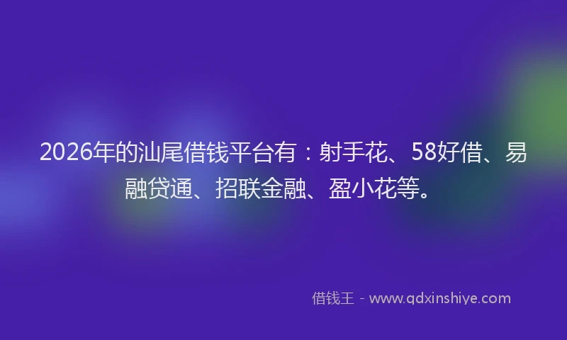 2026年的汕尾借钱平台有：射手花、58好借、易融贷通、招联金融、盈小花等。