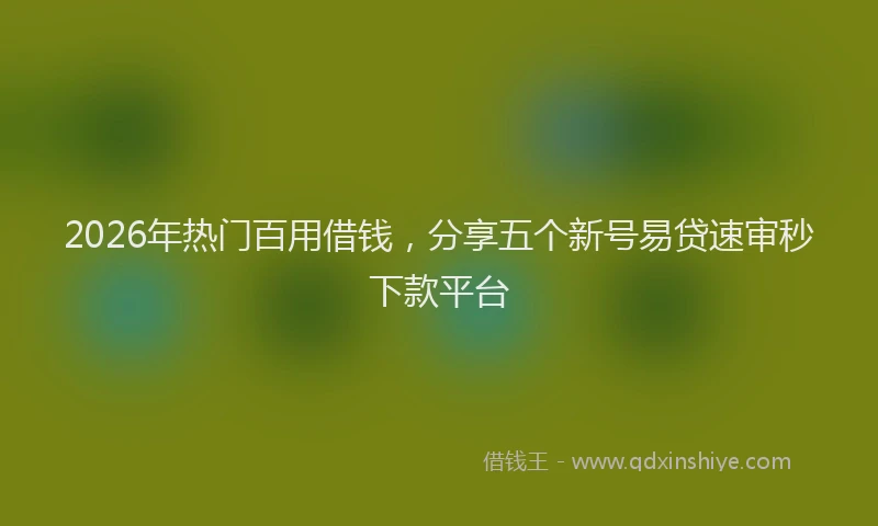 2026年热门百用借钱，分享五个新号易贷速审秒下款平台