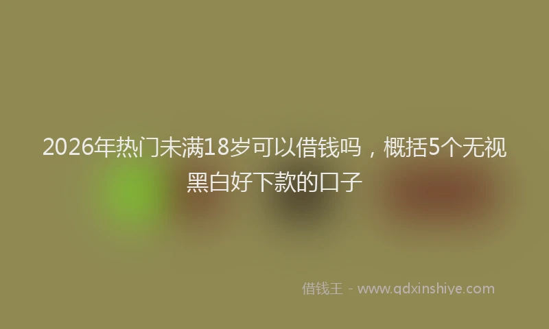 2026年热门未满18岁可以借钱吗，概括5个无视黑白好下款的口子