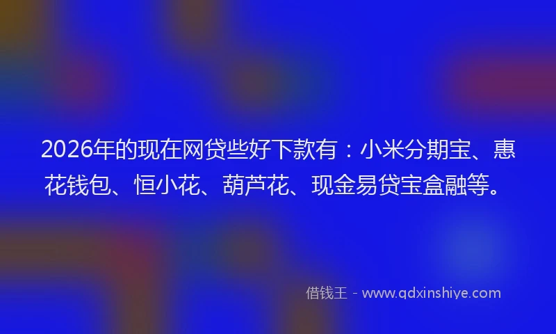 2026年的现在网贷些好下款有：小米分期宝、惠花钱包、恒小花、葫芦花、现金易贷宝盒融等。