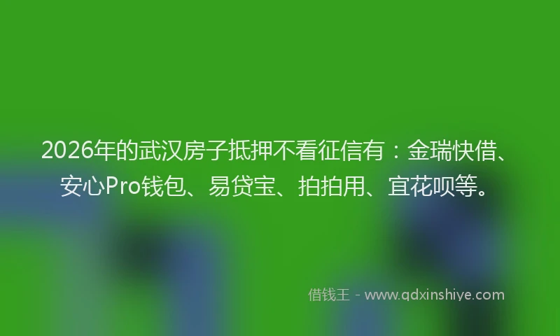 2026年的武汉房子抵押不看征信有：金瑞快借、安心Pro钱包、易贷宝、拍拍用、宜花呗等。