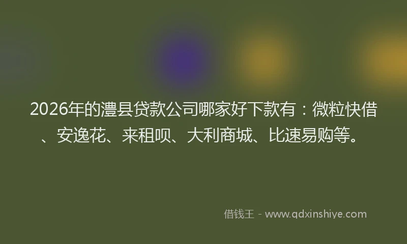2026年的澧县贷款公司哪家好下款有：微粒快借、安逸花、来租呗、大利商城、比速易购等。