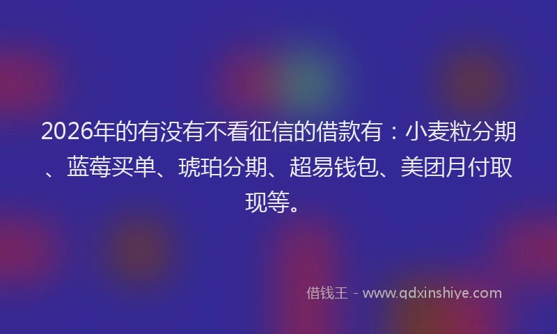 2026年的有没有不看征信的借款有：小麦粒分期、蓝莓买单、琥珀分期、超易钱包、美团月付取现等。