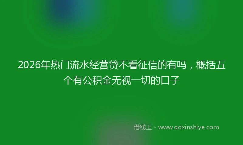 2026年热门流水经营贷不看征信的有吗,概括五个有公积金无视一切的口子