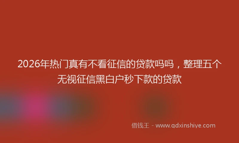 2026年热门真有不看征信的贷款吗吗，整理五个无视征信黑白户秒下款的贷款