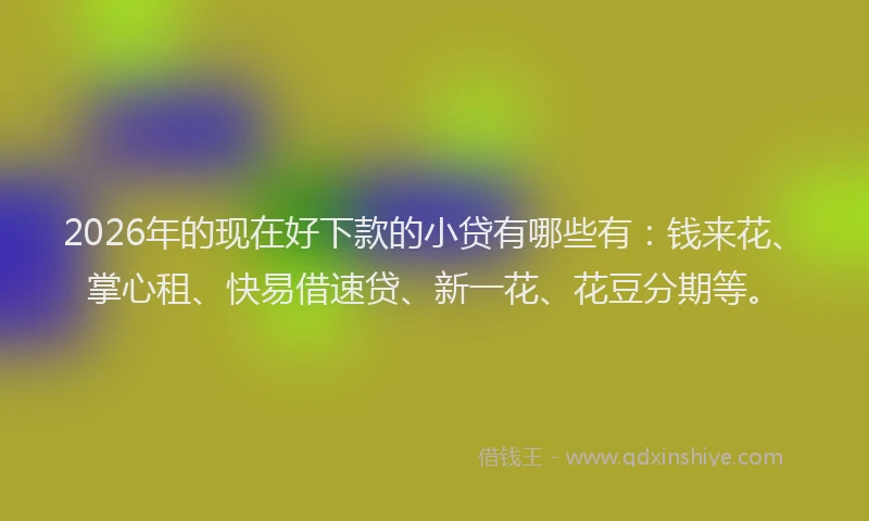2026年的现在好下款的小贷有哪些有：钱来花、掌心租、快易借速贷、新一花、花豆分期等。