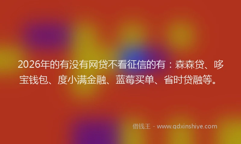 2026年的有没有网贷不看征信的有:森森贷、哆宝钱包、度小满金融、蓝莓买单、省时贷融等。